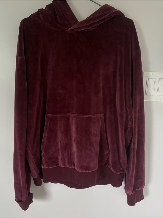 TNA Tops - TNA by Aritzia Velour Pullover Hoodie — Size XL